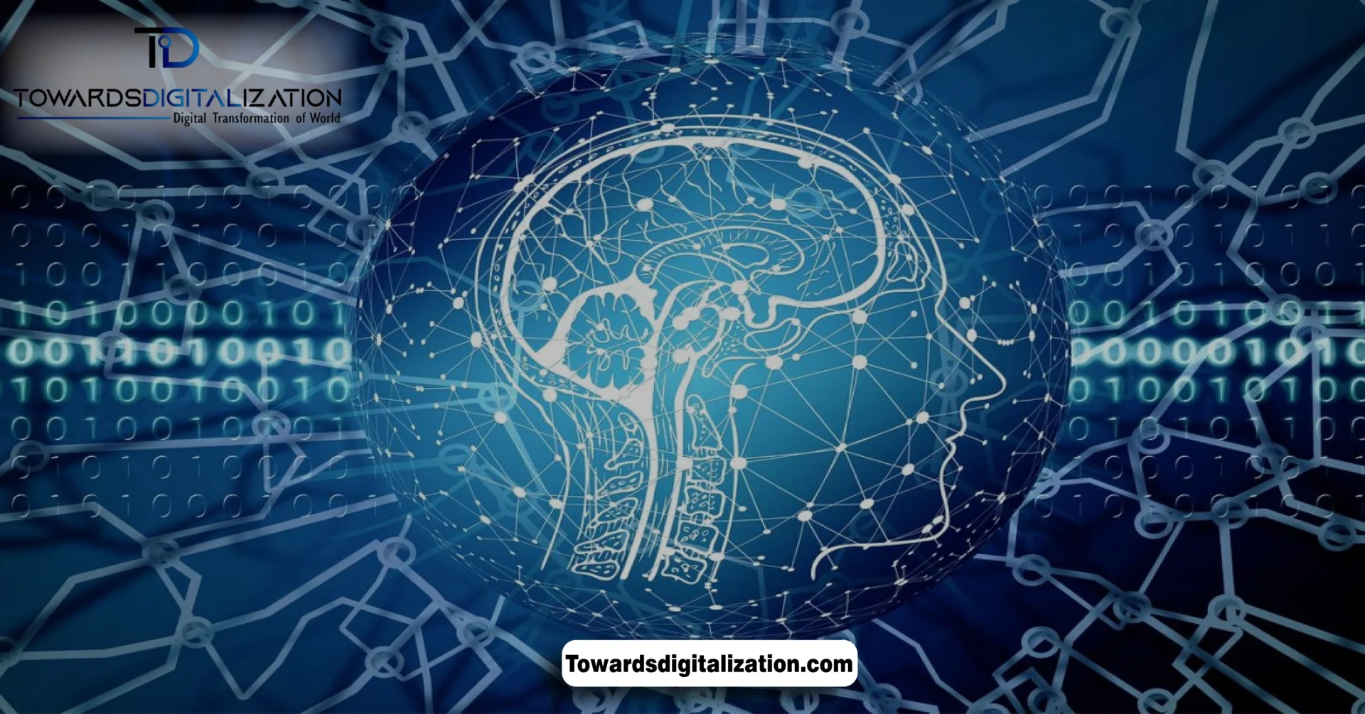 cerebras coder featured image