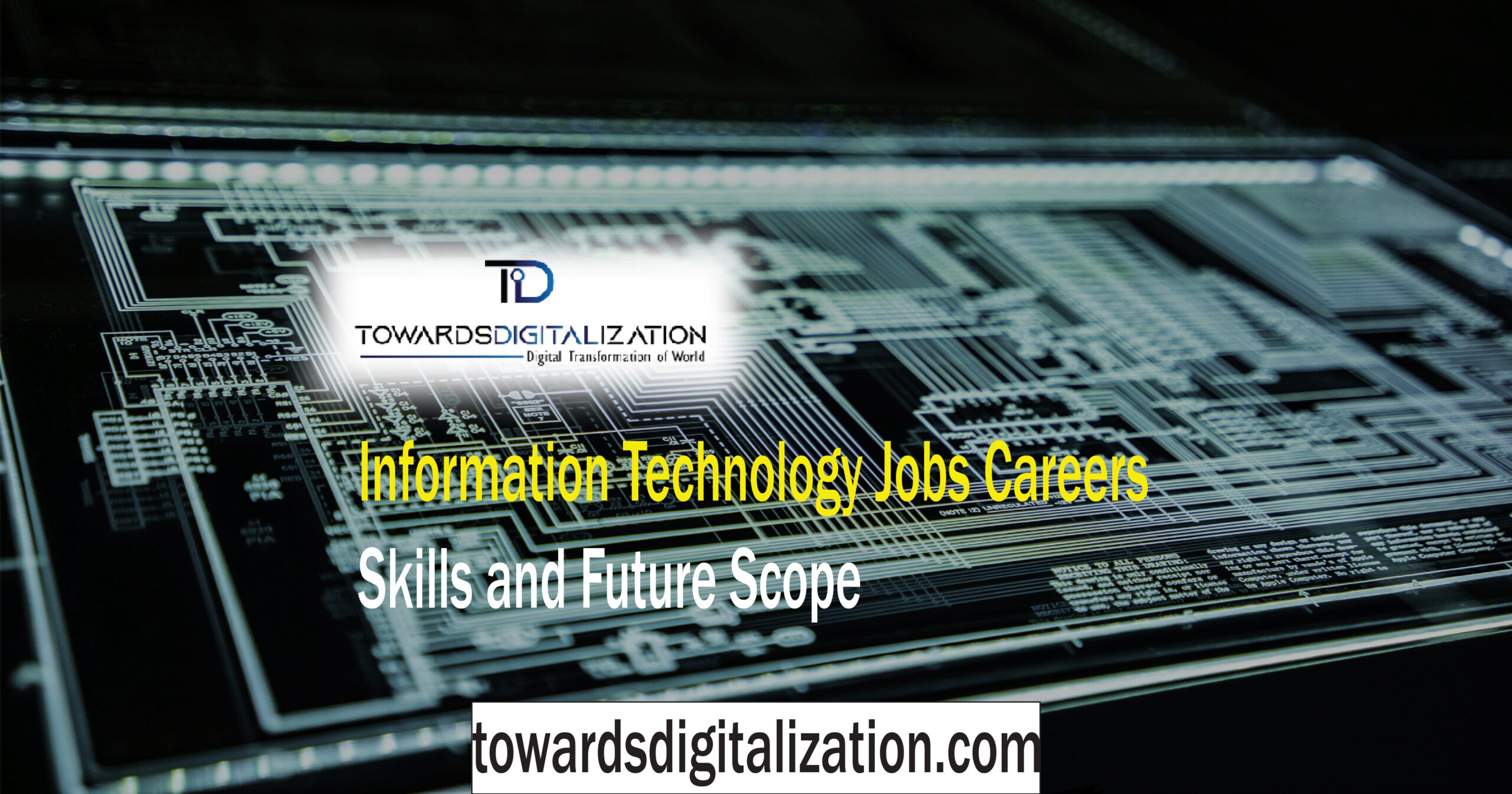 Information Technology Jobs Careers Skills and Future Scope